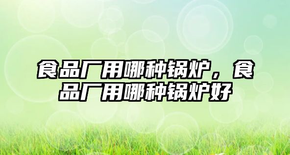 食品廠用哪種鍋爐，食品廠用哪種鍋爐好