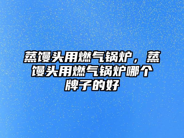 蒸饅頭用燃?xì)忮仩t，蒸饅頭用燃?xì)忮仩t哪個(gè)牌子的好