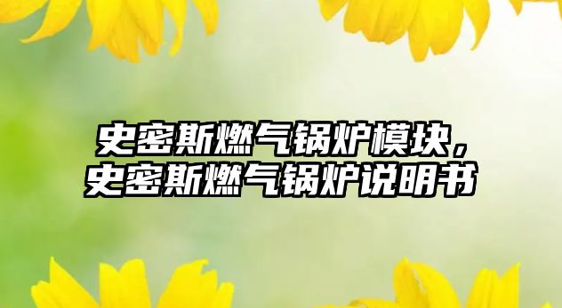 史密斯燃氣鍋爐模塊，史密斯燃氣鍋爐說明書