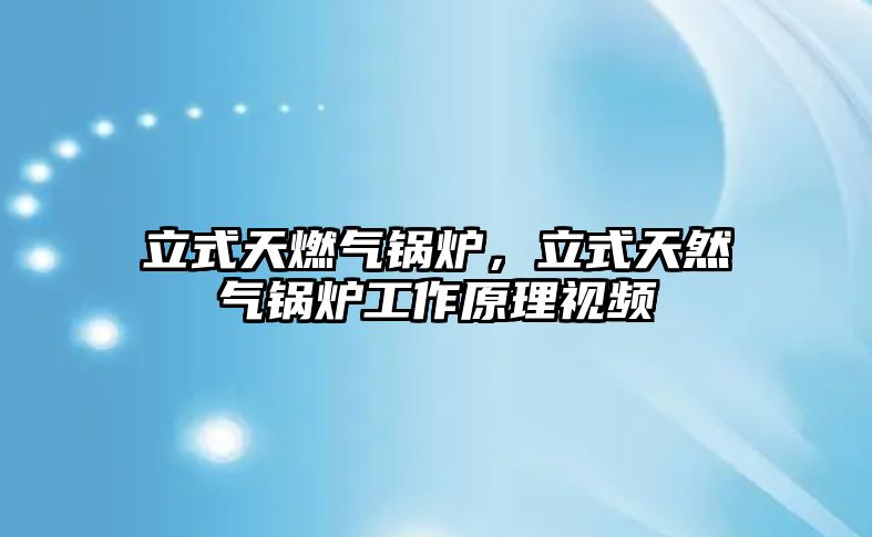 立式天燃?xì)忮仩t，立式天然氣鍋爐工作原理視頻