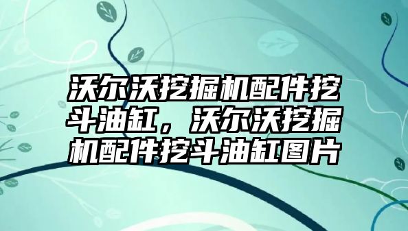 沃爾沃挖掘機配件挖斗油缸，沃爾沃挖掘機配件挖斗油缸圖片