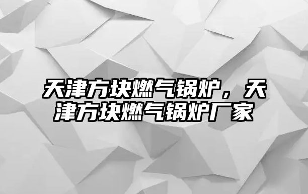 天津方塊燃?xì)忮仩t，天津方塊燃?xì)忮仩t廠家