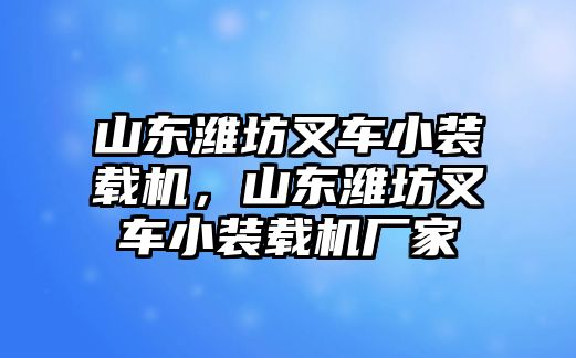 山東濰坊叉車小裝載機(jī)，山東濰坊叉車小裝載機(jī)廠家