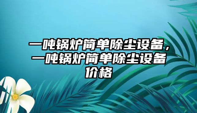 一噸鍋爐簡單除塵設備，一噸鍋爐簡單除塵設備價格