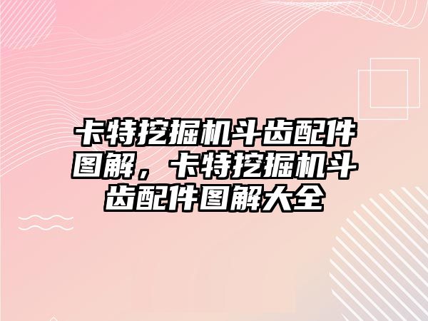 卡特挖掘機斗齒配件圖解，卡特挖掘機斗齒配件圖解大全