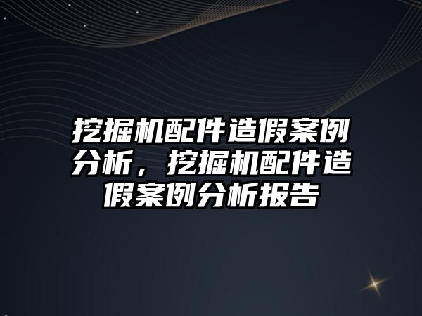 挖掘機配件造假案例分析，挖掘機配件造假案例分析報告