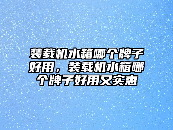 裝載機(jī)水箱哪個(gè)牌子好用，裝載機(jī)水箱哪個(gè)牌子好用又實(shí)惠