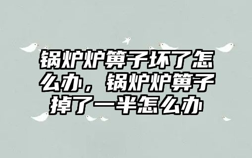 鍋爐爐箅子壞了怎么辦，鍋爐爐箅子掉了一半怎么辦