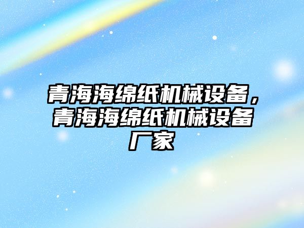 青海海綿紙機(jī)械設(shè)備，青海海綿紙機(jī)械設(shè)備廠家