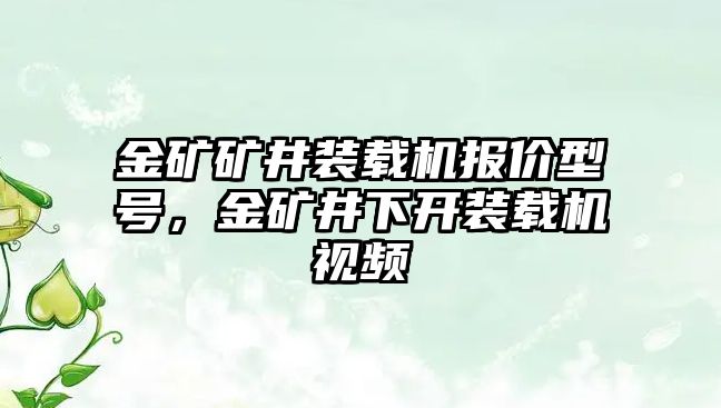 金礦礦井裝載機(jī)報(bào)價(jià)型號(hào)，金礦井下開裝載機(jī)視頻