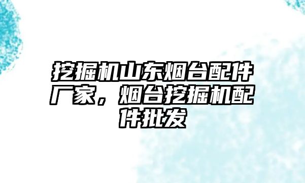 挖掘機山東煙臺配件廠家，煙臺挖掘機配件批發(fā)