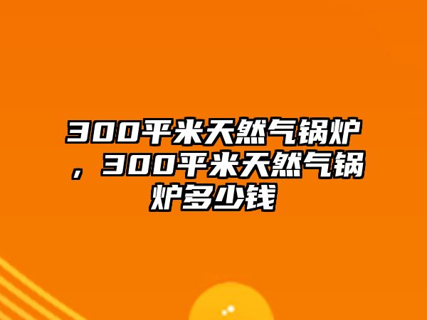 300平米天然氣鍋爐，300平米天然氣鍋爐多少錢