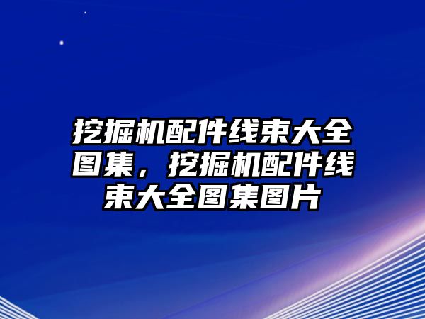 挖掘機(jī)配件線束大全圖集，挖掘機(jī)配件線束大全圖集圖片