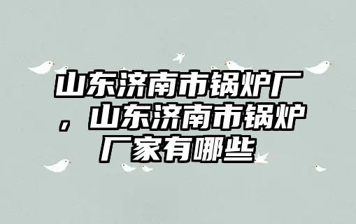 山東濟(jì)南市鍋爐廠，山東濟(jì)南市鍋爐廠家有哪些