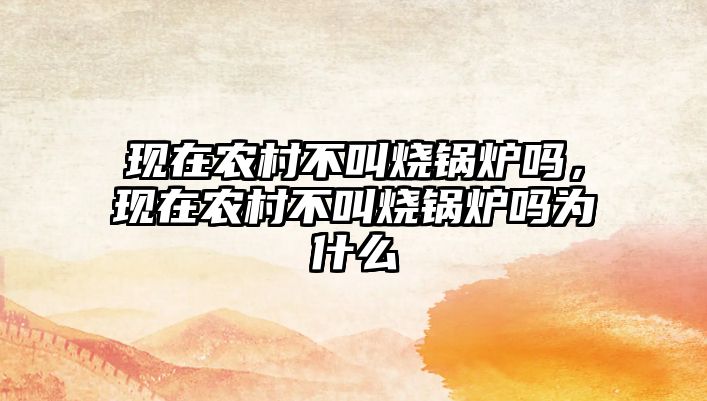 現(xiàn)在農(nóng)村不叫燒鍋爐嗎，現(xiàn)在農(nóng)村不叫燒鍋爐嗎為什么