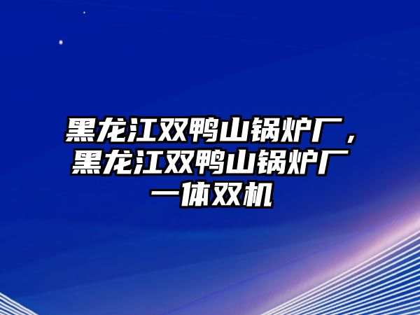 黑龍江雙鴨山鍋爐廠，黑龍江雙鴨山鍋爐廠一體雙機(jī)