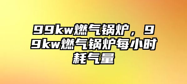 99kw燃?xì)忮仩t，99kw燃?xì)忮仩t每小時(shí)耗氣量