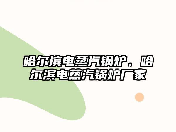 哈爾濱電蒸汽鍋爐，哈爾濱電蒸汽鍋爐廠家