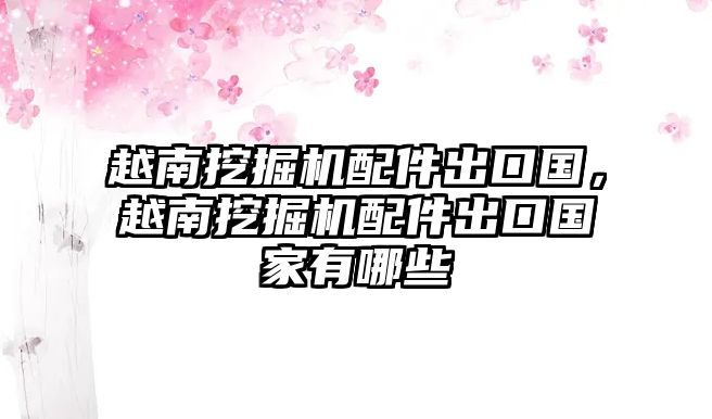 越南挖掘機(jī)配件出口國(guó)，越南挖掘機(jī)配件出口國(guó)家有哪些