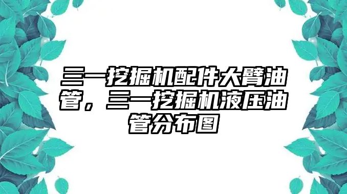 三一挖掘機配件大臂油管，三一挖掘機液壓油管分布圖