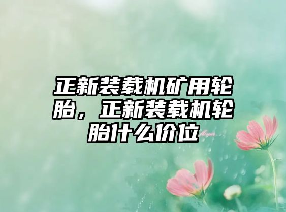 正新裝載機礦用輪胎，正新裝載機輪胎什么價位