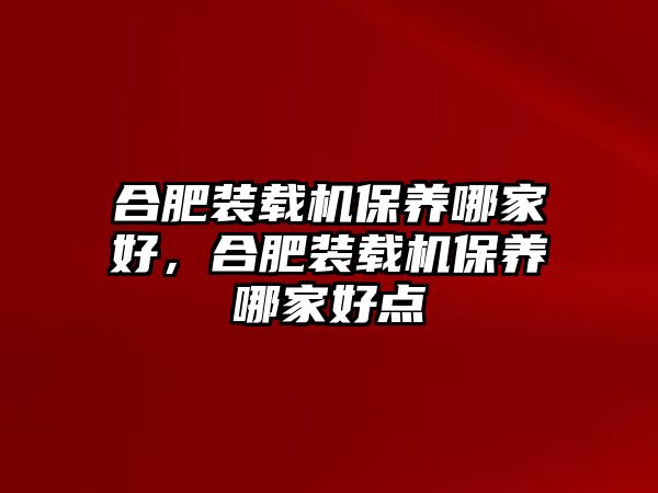 合肥裝載機保養(yǎng)哪家好，合肥裝載機保養(yǎng)哪家好點