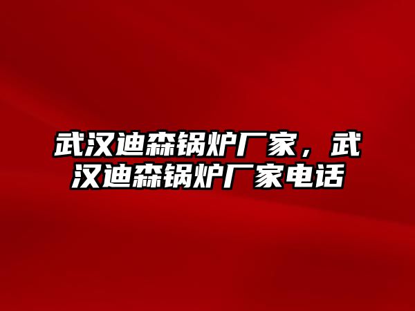 武漢迪森鍋爐廠家，武漢迪森鍋爐廠家電話