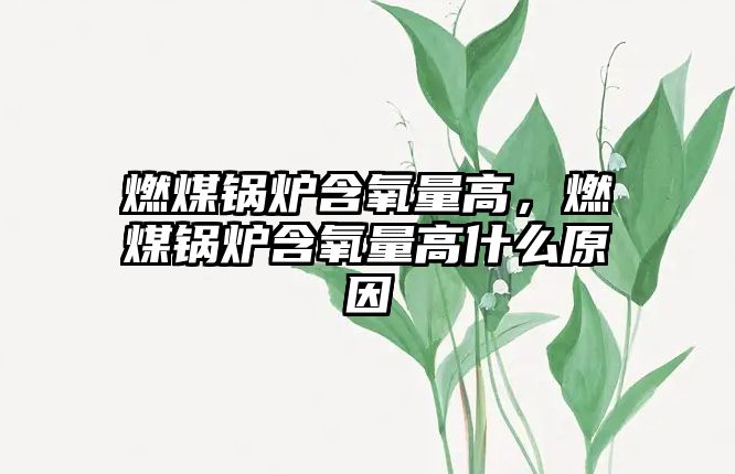 燃煤鍋爐含氧量高，燃煤鍋爐含氧量高什么原因