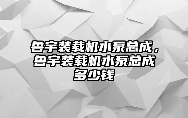 魯宇裝載機(jī)水泵總成，魯宇裝載機(jī)水泵總成多少錢