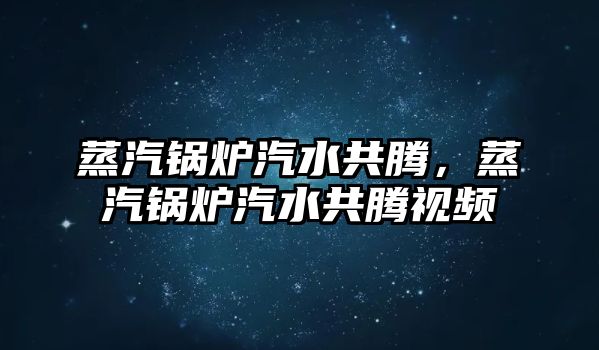 蒸汽鍋爐汽水共騰，蒸汽鍋爐汽水共騰視頻