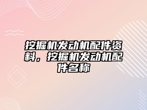 挖掘機發(fā)動機配件資料，挖掘機發(fā)動機配件名稱