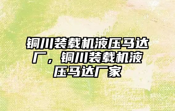 銅川裝載機液壓馬達(dá)廠，銅川裝載機液壓馬達(dá)廠家