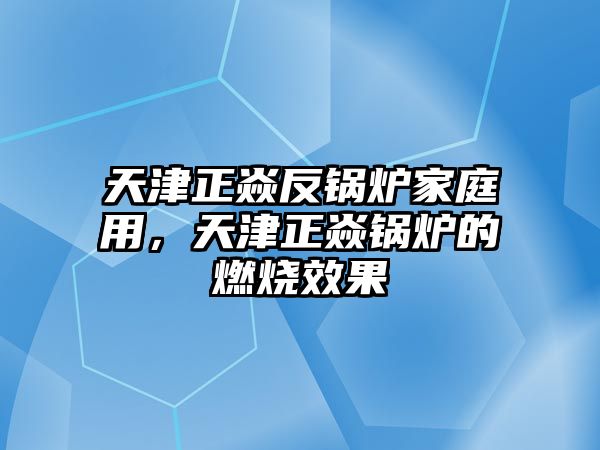 天津正焱反鍋爐家庭用，天津正焱鍋爐的燃燒效果