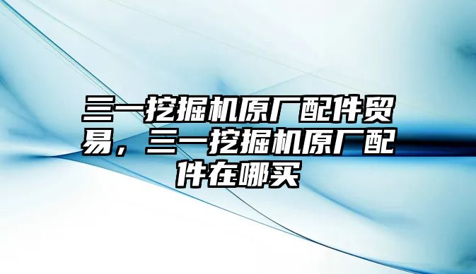 三一挖掘機(jī)原廠配件貿(mào)易，三一挖掘機(jī)原廠配件在哪買(mǎi)