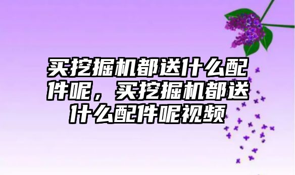 買挖掘機都送什么配件呢，買挖掘機都送什么配件呢視頻