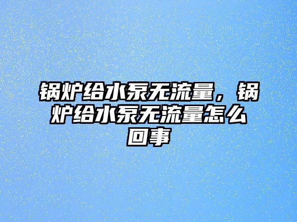 鍋爐給水泵無流量，鍋爐給水泵無流量怎么回事