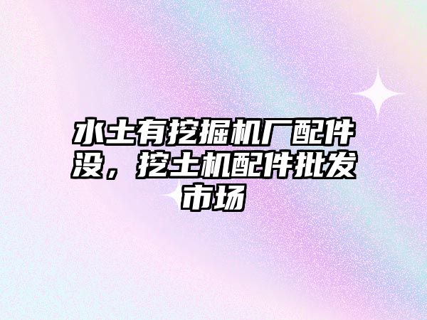 水土有挖掘機(jī)廠配件沒，挖土機(jī)配件批發(fā)市場