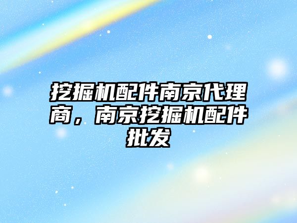 挖掘機配件南京代理商，南京挖掘機配件批發(fā)