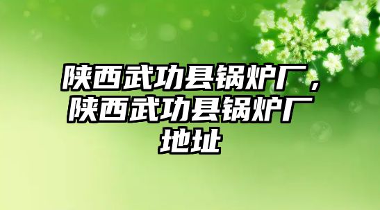 陜西武功縣鍋爐廠，陜西武功縣鍋爐廠地址