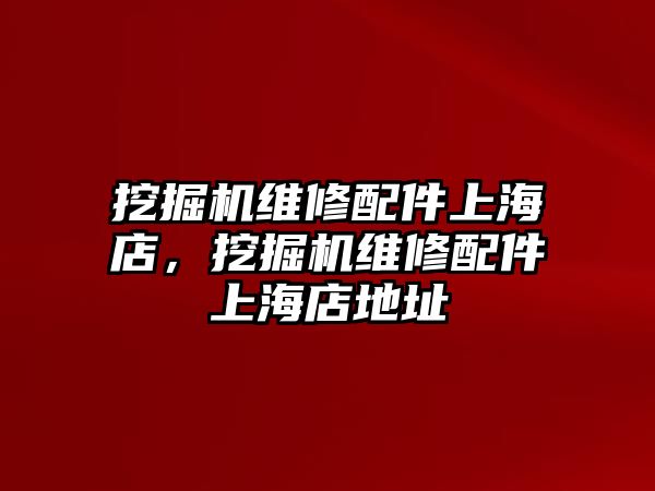 挖掘機(jī)維修配件上海店，挖掘機(jī)維修配件上海店地址