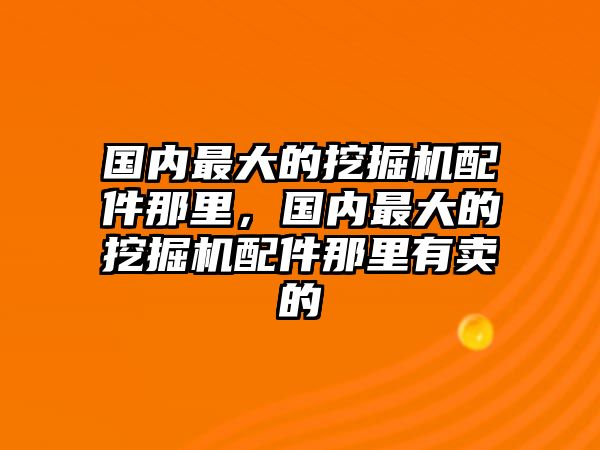 國內(nèi)最大的挖掘機配件那里，國內(nèi)最大的挖掘機配件那里有賣的