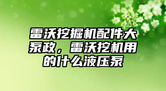 雷沃挖掘機配件大泵政，雷沃挖機用的什么液壓泵