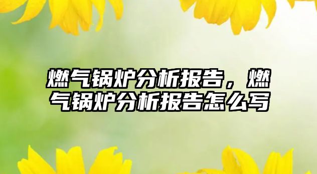 燃氣鍋爐分析報告，燃氣鍋爐分析報告怎么寫