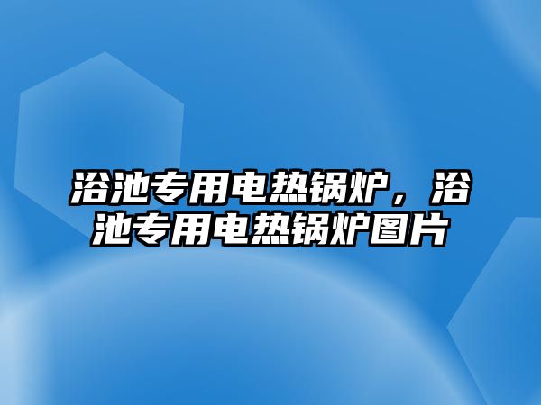 浴池專用電熱鍋爐，浴池專用電熱鍋爐圖片