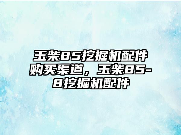 玉柴85挖掘機(jī)配件購買渠道，玉柴85-8挖掘機(jī)配件