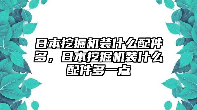 日本挖掘機(jī)裝什么配件多，日本挖掘機(jī)裝什么配件多一點(diǎn)