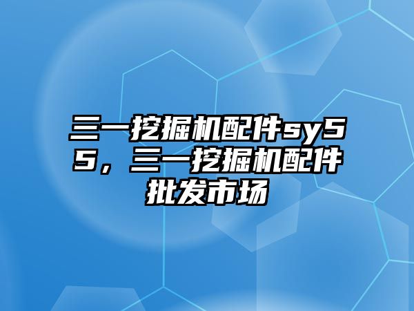 三一挖掘機配件sy55，三一挖掘機配件批發(fā)市場