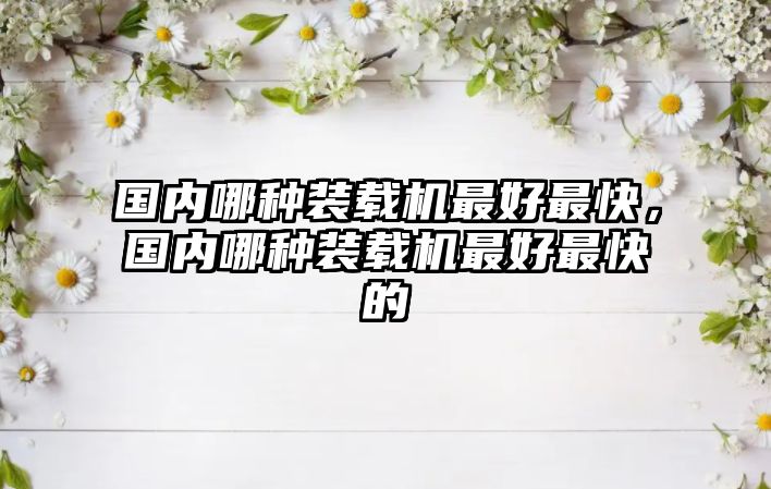 國內(nèi)哪種裝載機(jī)最好最快，國內(nèi)哪種裝載機(jī)最好最快的