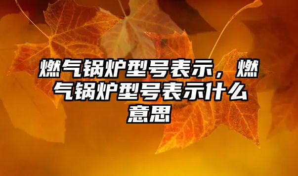 燃?xì)忮仩t型號(hào)表示，燃?xì)忮仩t型號(hào)表示什么意思