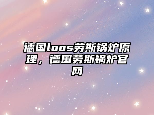 德國loos勞斯鍋爐原理，德國勞斯鍋爐官網(wǎng)